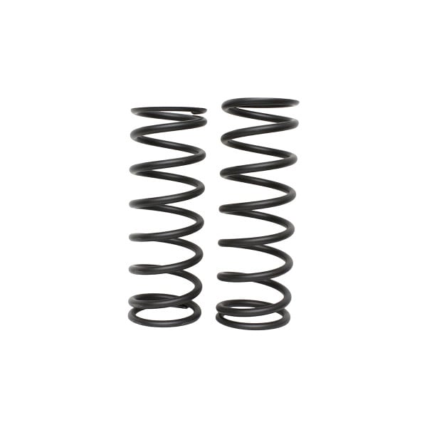 Rear Coil Springs Pair – 2764