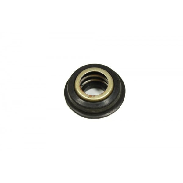 Water Pump Seal for Series II 88 – BWK 22R