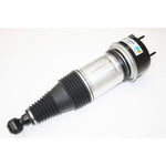 Air Spring & Damper Assembly – C2C41341-B
