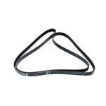 Drive Belt for Jaguar XF & XJ (2010–2019) 3.0L Supercharged – C2D61182-G