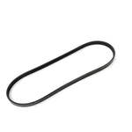 Drive Belt for Jaguar XJ12 Series 3 & XJS – EAC9369-G