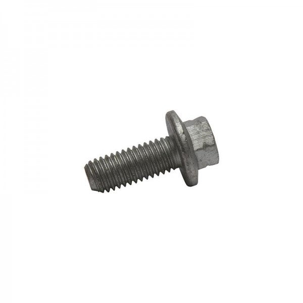 Screw