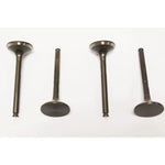 Valve - Exh - Cyl H for Freelander 1 – LGH100980L