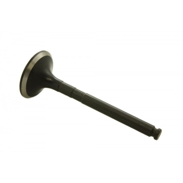 Exhaust Valve for 2.0L L Series diesel models – LGH10098
