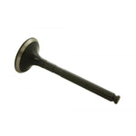Exhaust Valve for 2.0L L Series diesel models – LGH10098