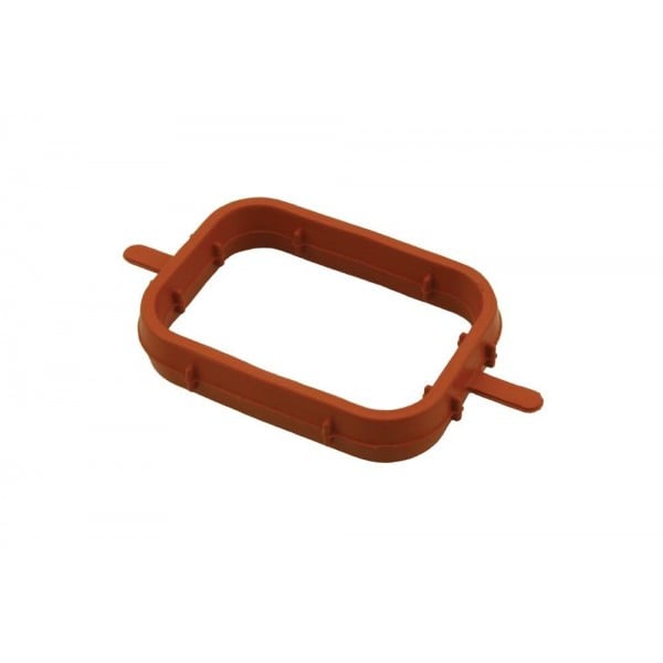 Manifold Gasket
