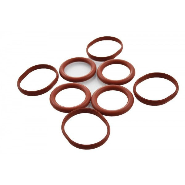 Manifold Gasket