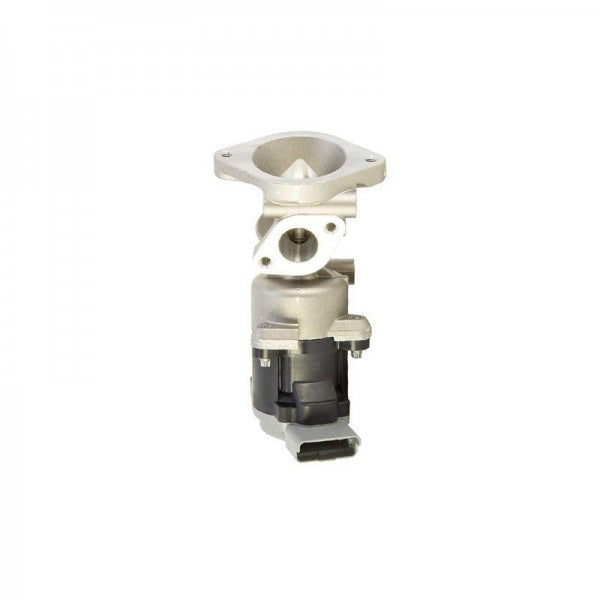 Right EGR Valve