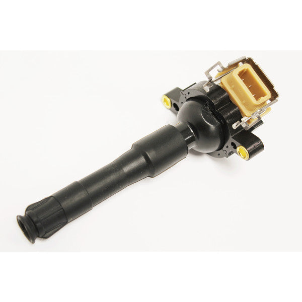 Ignition Coil for Range Rover L322 (2002–2009) 4.4 V8 Petrol – LR022494A
