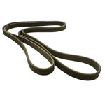 Primary Drive Belt