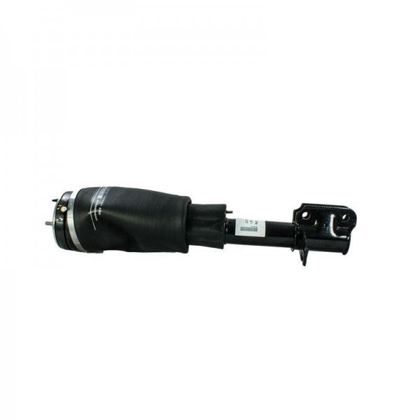 Front Right Shock Absorber