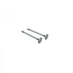 Inlet Valve
