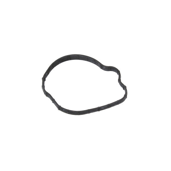 Fuel Pump Support Housing Seal for Freelander 2 / Evoque L538 (2006–2019) – LR034323G