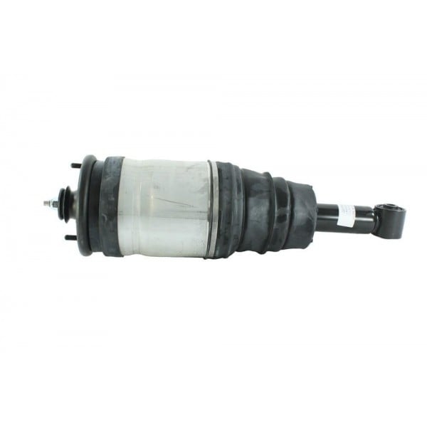 Shock Absober Rear Assy