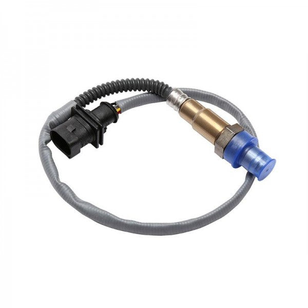 O2 Sensor