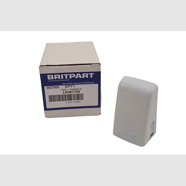 Handle Cap for Discovery 4 (2010 – 2016) LH, Primed, With Lock Barrel Aperture (From EA729568) – LR067700