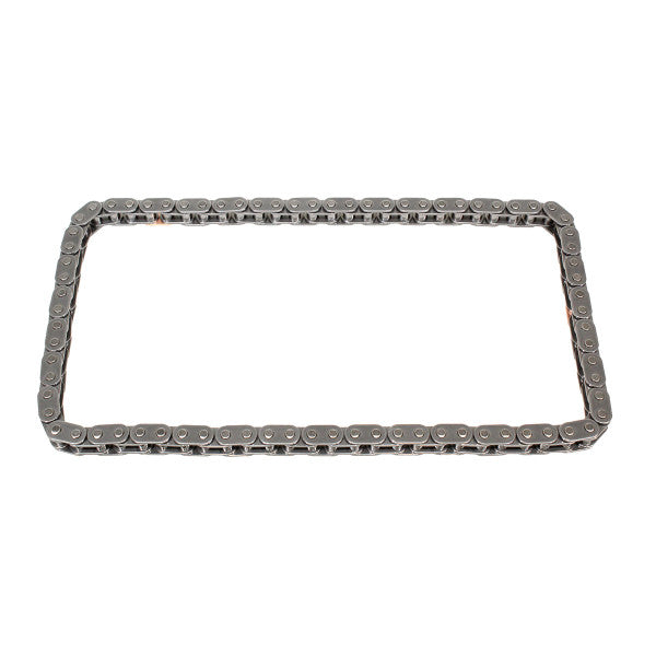 Primary Timing Chain for Land Rover / Jaguar 2.0L Petrol Ingenium (AJ20P4) (2018+) – LR091740G