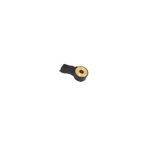 Sensor for Discovery 2 (1998 – 2004) EFI Petrol – NSC100650G