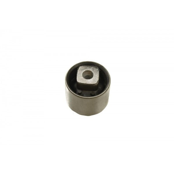Rear Suspension Bush for All models – RGX10100