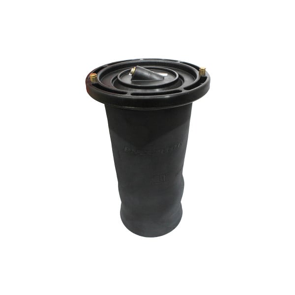 Rear Air Spring Assembly for Discovery 2 (1998–2004) – RKB101200D