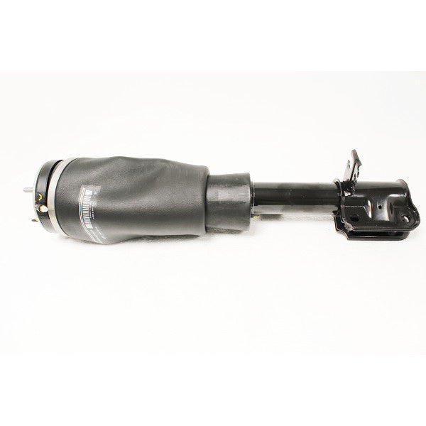 Front Suspension Damper Assembly for Range Rover L322 (2002–2009) – RNB000750W