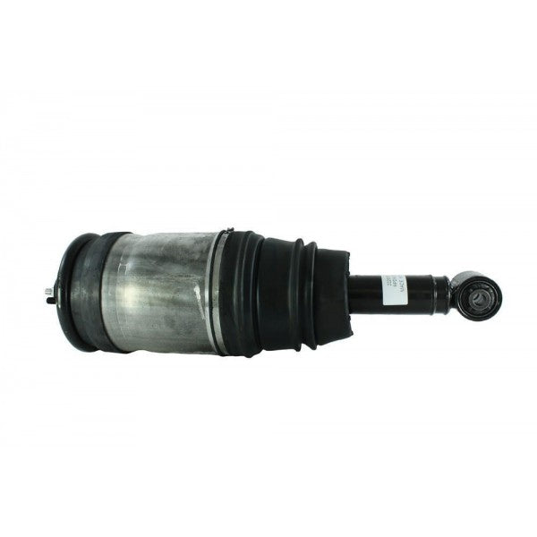 Rear Damper assembly