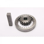 Oil Pump Gear