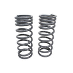 Rear Springs for Discovery 2 (1998–2004) Standard Height & Load – TF029