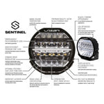 Lazer Lamps Sentinel 9" LED Spotlight - Black