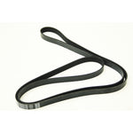 Drive Belt for Jaguar XF X250 X260 XJ X351 – C2D19766-G
