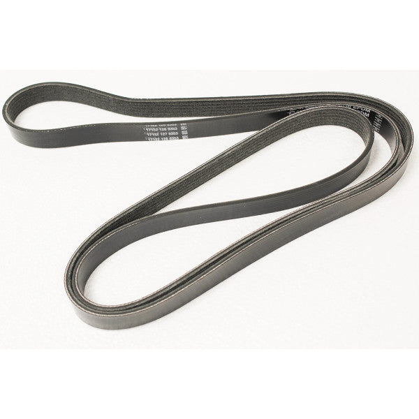 Drive Belt for Jaguar XF X250 – C2Z1348-G