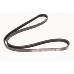 Belt Drive for Jaguar XJ12 XJ81 – EAC9898-G