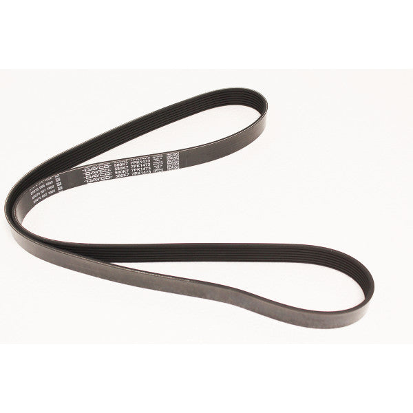 Belt Drive for Jaguar XJ12 XJ81 – EBC1500-G