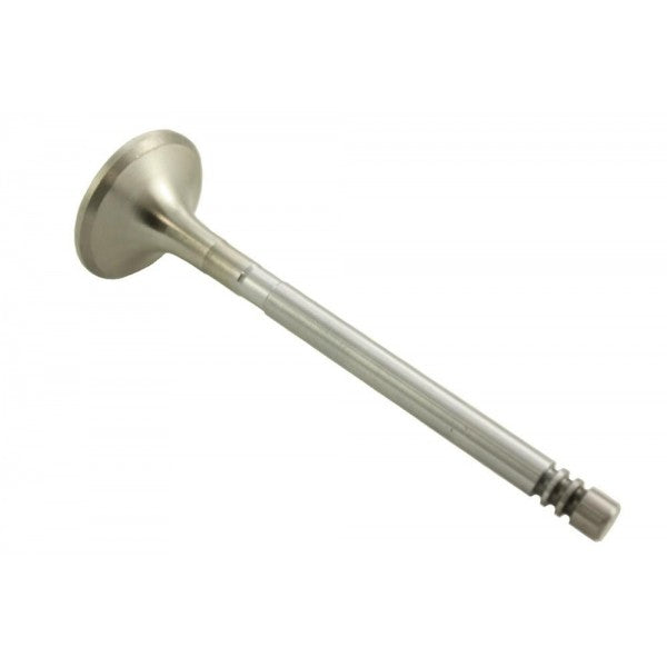 Exhaust Valve for Defender (1986 – 2006) Cylinder Head - Exhaust – ERR6612