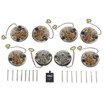 Smoked Lens LED Light Kit – GL1190
