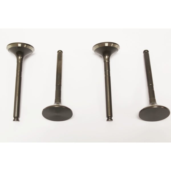 Valve - Exh - Cyl H for Freelander 1 – LGH100980L