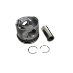 Piston And Rings Assembly