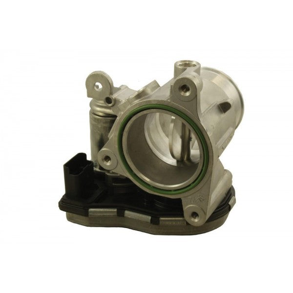Throttle Body & Motor