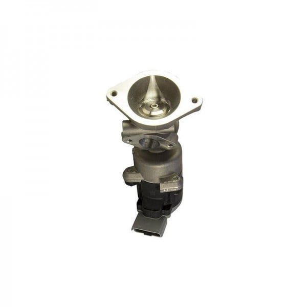 Left EGR Valve