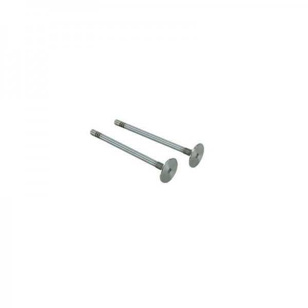 Inlet Valve