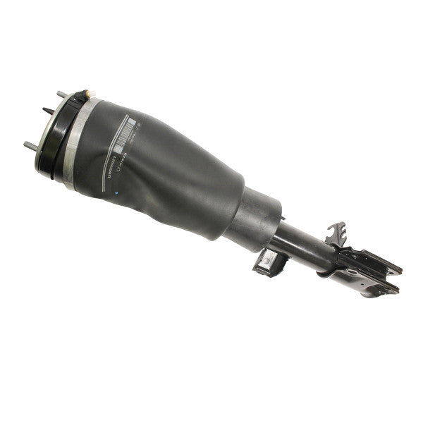 Damper Assembly for Range Rover L322 (2010–2012) – LR032567W