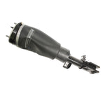 Damper Assembly for Range Rover L322 (2010–2012) – LR032567W