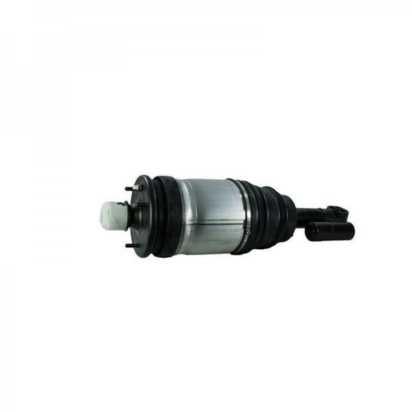 Shock Absober Rear Assy LH