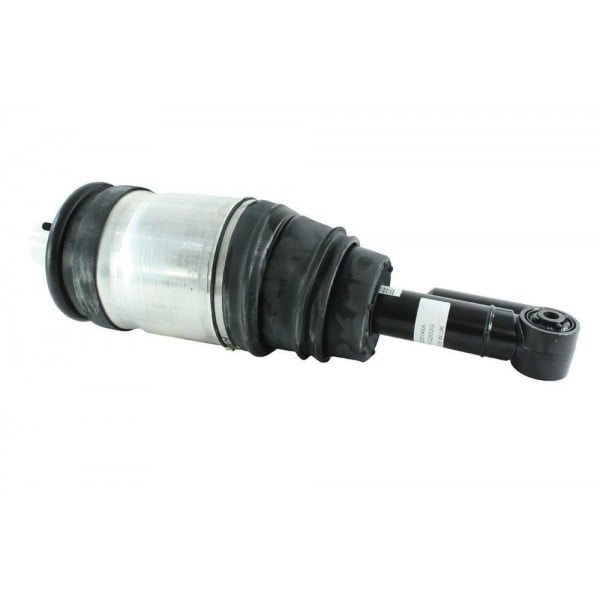 Shock Absober Rear Assy RH
