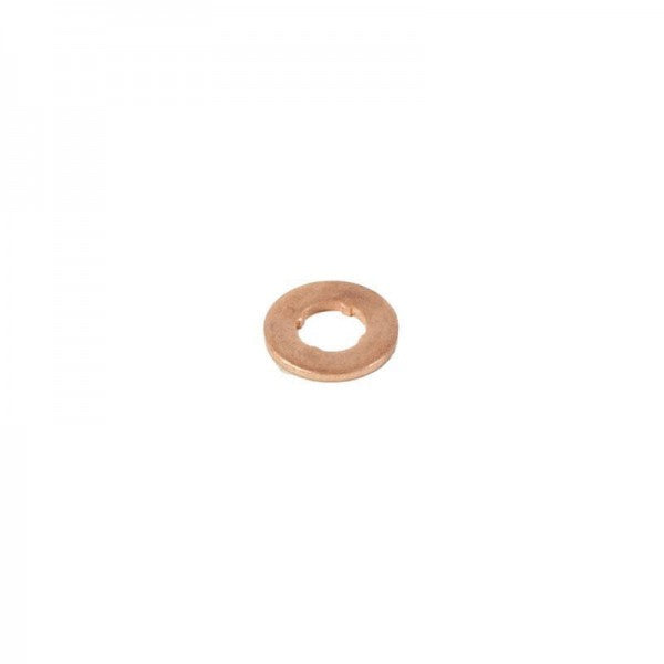 Fuel Injector Washer