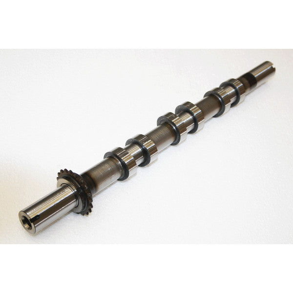 Camshaft – LR057792R
