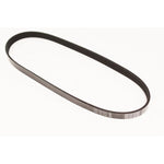 Drive Belt for Jaguar XJ12 XJ6 XJS X300 XJ81 – NAC2211BA-G