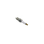 Plug - Spark for Discovery 2 (1998 – 2004) Double Platinum - RC11PYPB4 – NLP100320