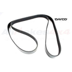 Drive Belt – PQS101640