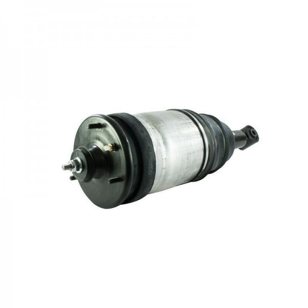 Rear Damper assembly